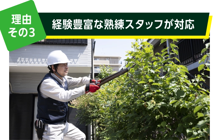 理由その３: 経験豊富な熟練スタッフが対応