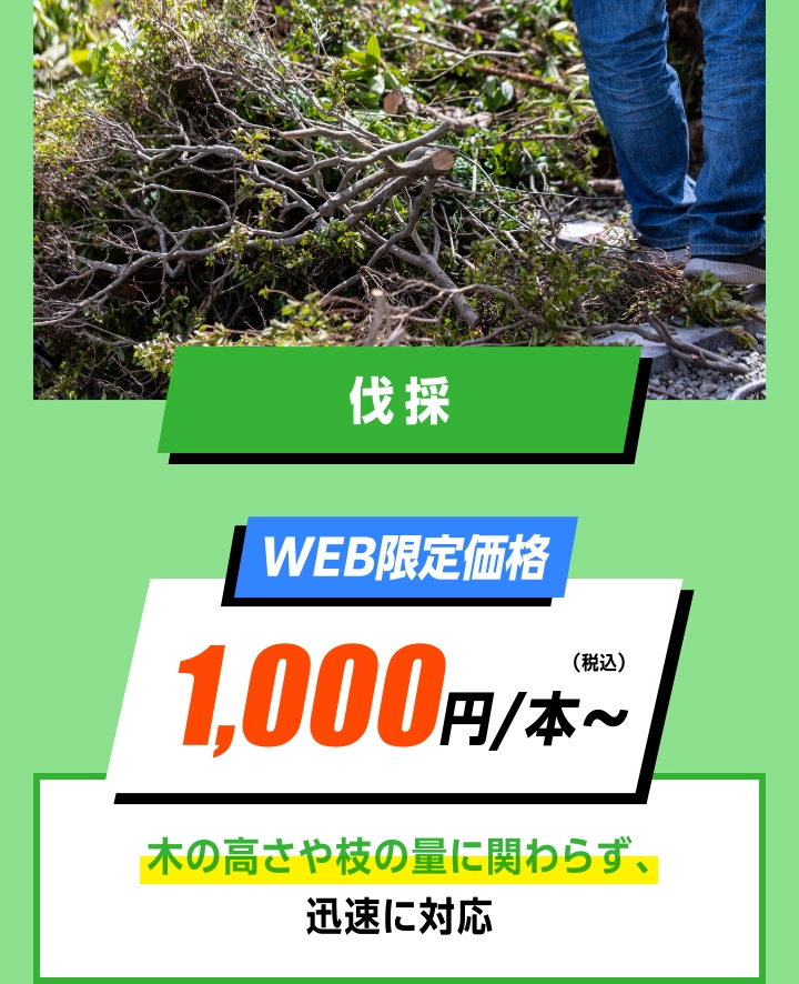 庭手入れ伐採 WEB限定価格 1,000円/本〜