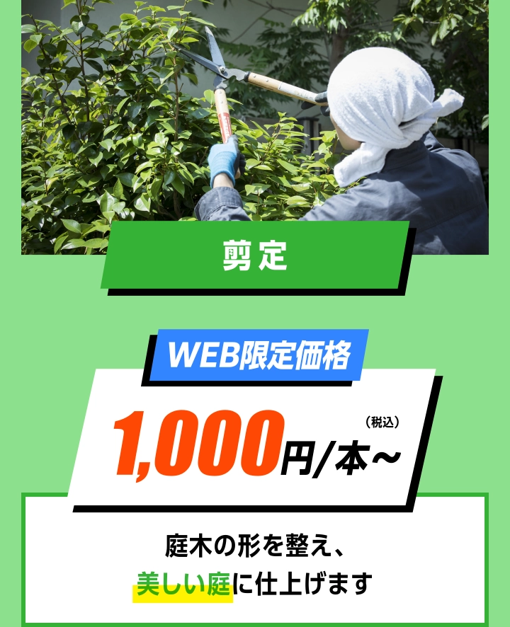 庭手入れ選定 WEB限定価格 1,000円/本〜