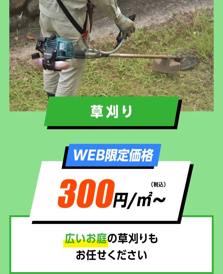 庭手入れ芝刈り WEB限定価格 300円/平方メートル〜